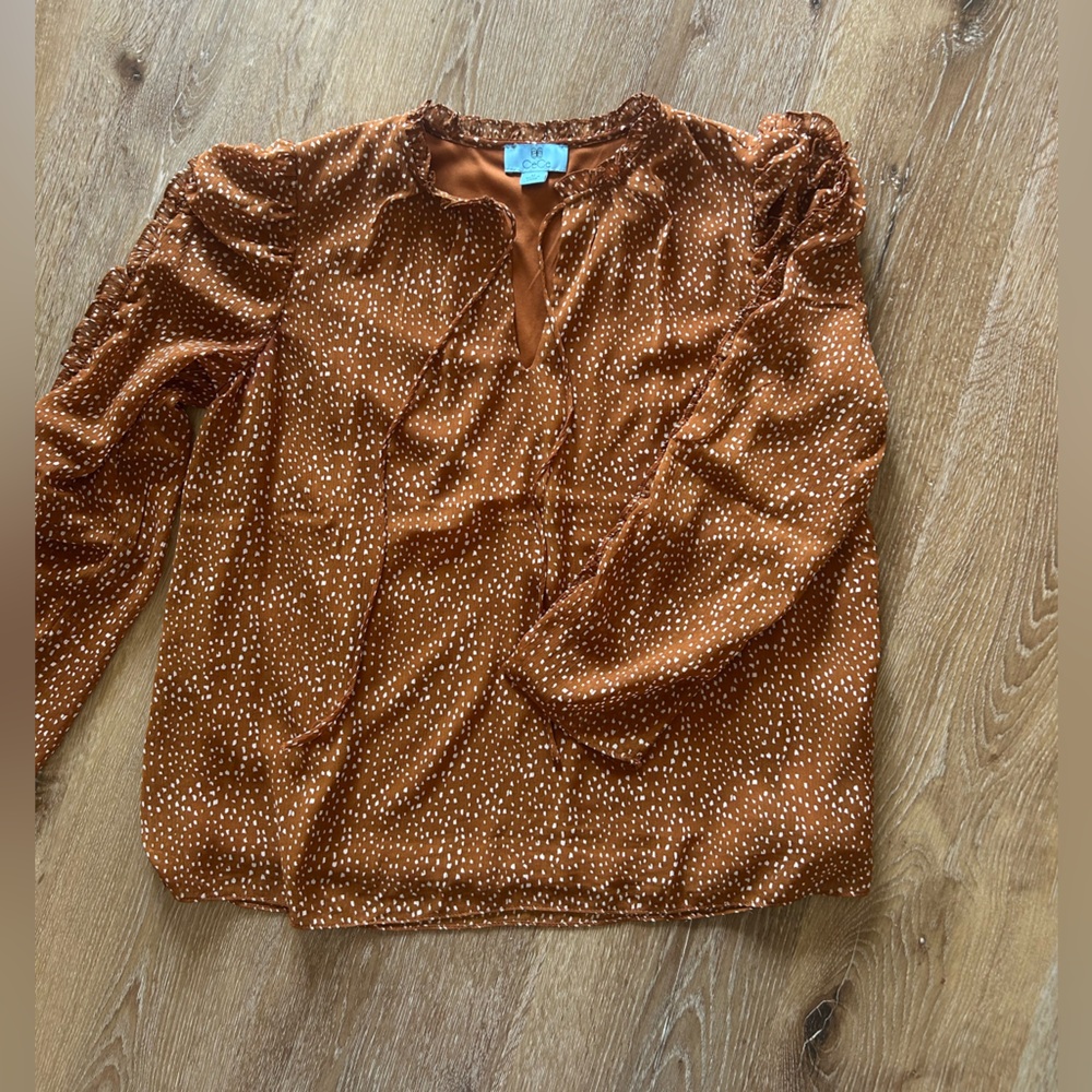 CeCe Brown Blouse with Puff Sleeve